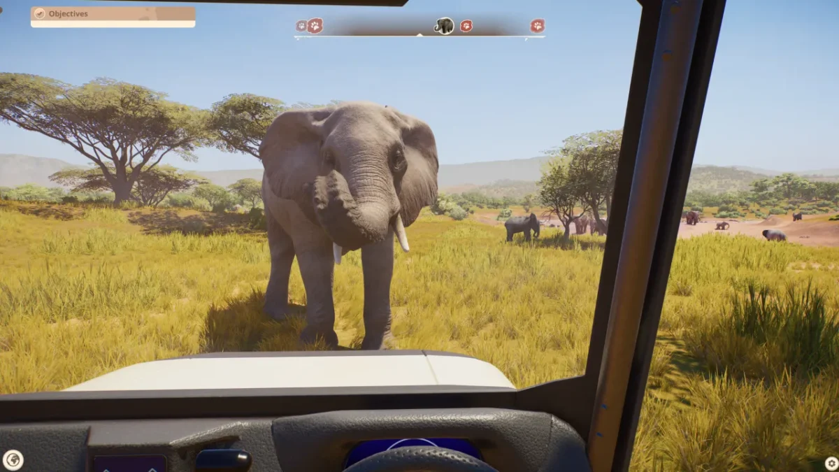 An elephant standing in tall grass seen through the windscreen of a safari vehicle
