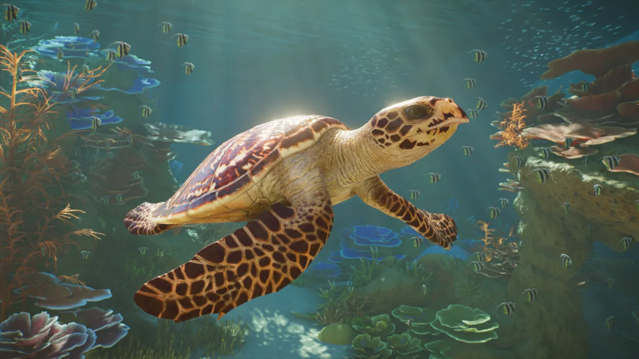 A sea turtle swimming through clear blue water above a reef