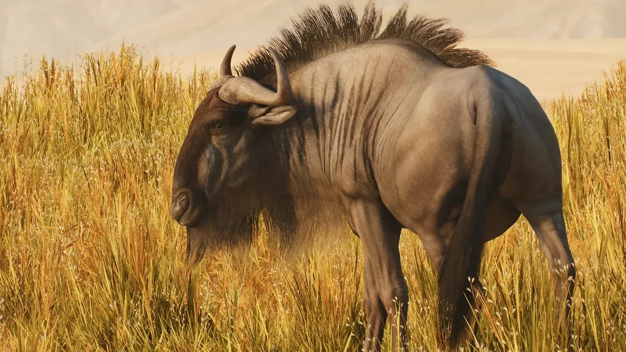 A wildebeest standing in tall dry grass on the savannah in Planet Zoo 2